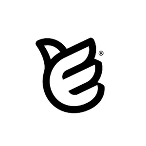 eBrands brand logo for ebrands.com