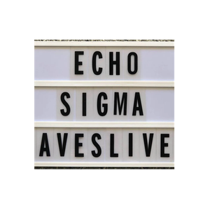 Echo-Sigma brand logo for echo-sigma.com