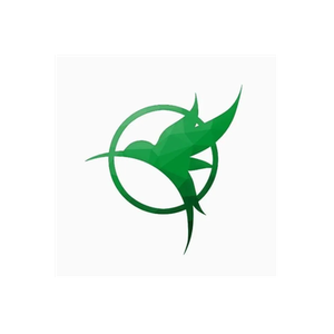 Eclipson Airplanes brand logo for eclipson-airplanes.com