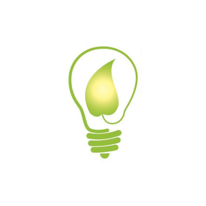 Eco Electric brand logo for ecoelectrickc.com