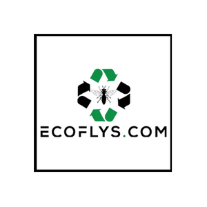 Ecoflys brand logo for ecoflys.com