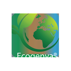 Ecogenya brand logo for ecogenya.com