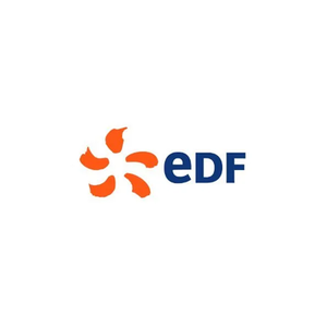 EDF Energy brand logo for edfenergy.com