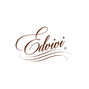 EDVIVI brand logo for edvivi.com