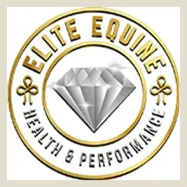 eehp brand logo for eehp.pro