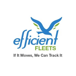 Efficient Fleets brand logo for efficientfleets.com