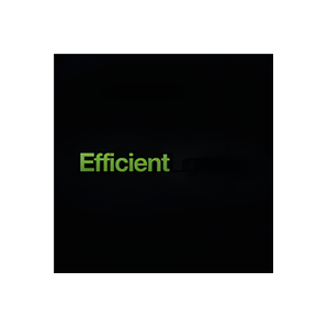Efficient Lighting Co. brand logo for efficientlightingco.com
