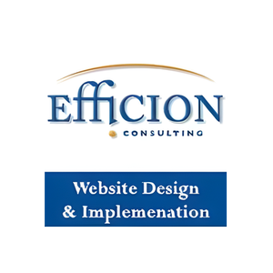 Efficion Consulting brand logo for efficionconsulting.com