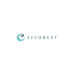 Efforest brand logo for efforest.com