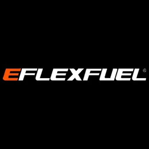 eflex brand logo for eflex.eco