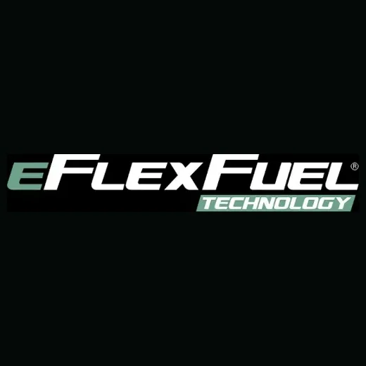eflexfuel brand logo for eflexfuel.com