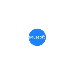 Egua Soft brand logo for eguasoft.com