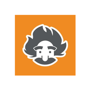 Einstein Moving Company brand logo for einsteinmoving.com