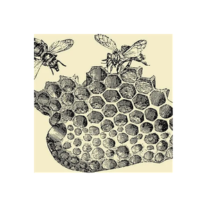 Eisele's Honey brand logo for eiseleshoney.com