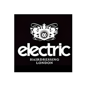 Electric Hair brand logo for electric-hair.com