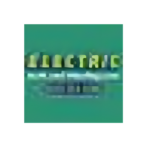 Electric Junk and Hauling brand logo for electricjunkandhauling.com