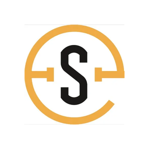Electric Standard brand logo for electricstandard.co