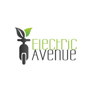 electricavenuebike brand logo for electricavenuebike.com