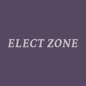 electzone brand logo for electzone.store