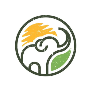 Elephant Art Online brand logo for elephantartonline.com