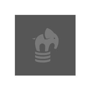 ElephantSQL brand logo for elephantsql.com