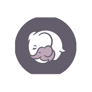 Elestory brand logo for elestory.com