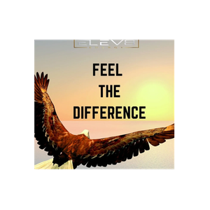 Elev8 Energy brand logo for elev8energy.co