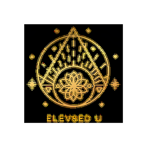 Elev8 brand logo for elev8edu.com