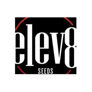 Elev8 Seeds brand logo for elev8seeds.com