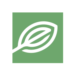 Elevate Holistics brand logo for elevate-holistics.com