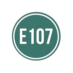 Elevation 107 brand logo for elevation107.com.au