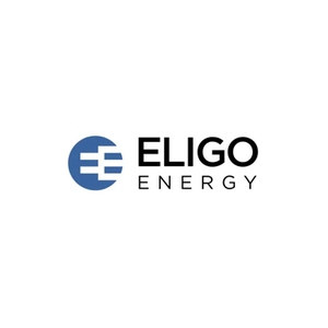Eligo Energy brand logo for eligoenergy.com