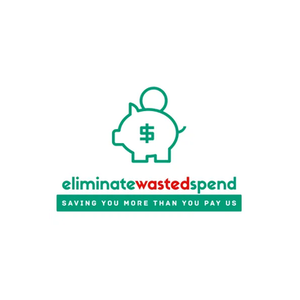 Eliminate Wasted Spend brand logo for eliminatewastedspend.com