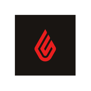 Elitaire brand logo for elitaireboutique.com