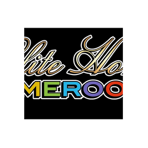 Elite Home Game Rooms brand logo for elitehomegamerooms.com