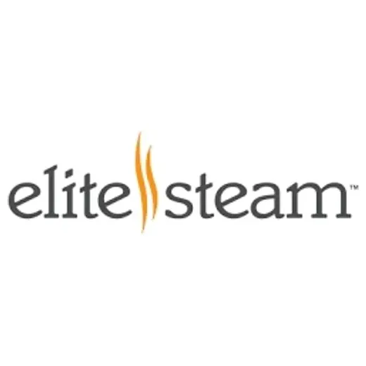 Elite Steam brand logo for elitesteam.com