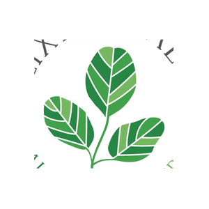 Elixir Health brand logo for elixirhealth.co.uk