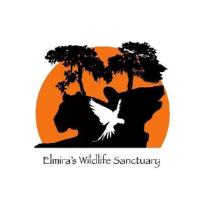 Elmira's Wildlife Sanctuary brand logo for elmiraswildlife.org