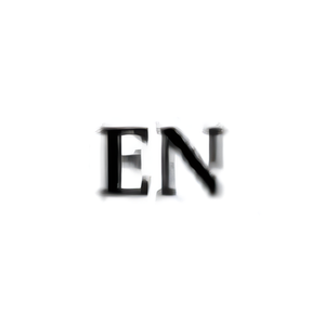 Elon Novac brand logo for elonnovac.com