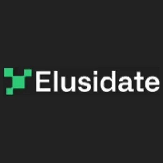 elusidate brand logo for elusidate.app