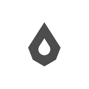 Embrava Sports brand logo for embravasports.com