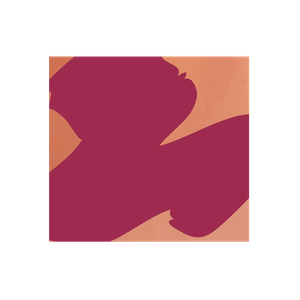 Emily Brooks brand logo for emilybrooks.uk