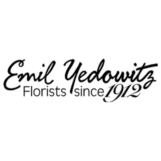 Emily Edowitz brand logo for emilyedowitz.com