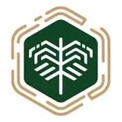 Emirex brand logo for emirex.com