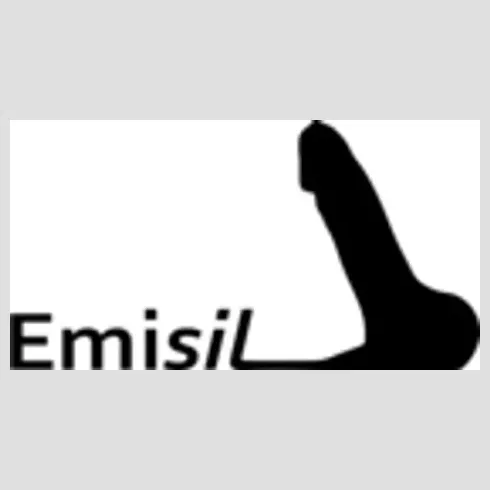 Emisil brand logo for emisil.com
