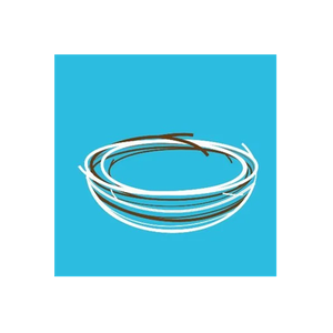 Empty the Nest brand logo for emptythenest.net