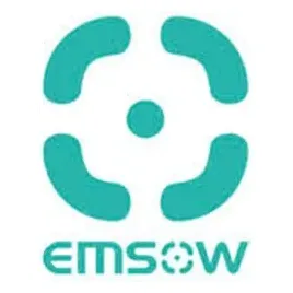 Emsow brand logo for emsow.com