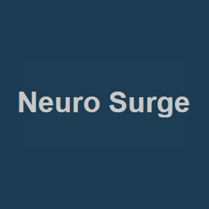 en-neurosurrge brand logo for en-neurosurrge.us