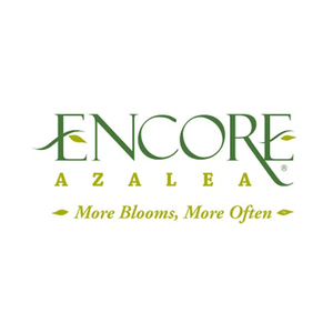 Encore Azalea brand logo for encoreazalea.com