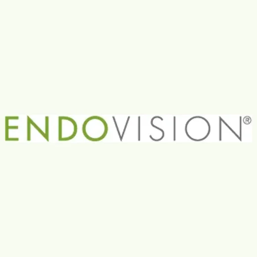 Endo Vision brand logo for endovision.info